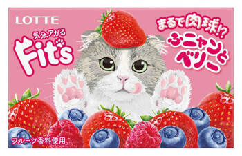 Gumy do żucia o smaku owocowym 12 sztuk - 30g Lotte