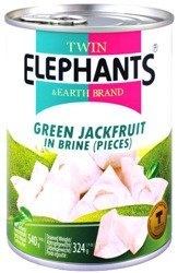 Zielony jackfruit w słonej zalewie 540g - Twin Elephants & Earth Brand